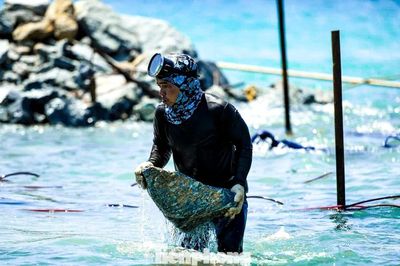 Theo chân thợ lặn dựng 'lá chắn' ngầm cứu bờ biển Cửa Đại