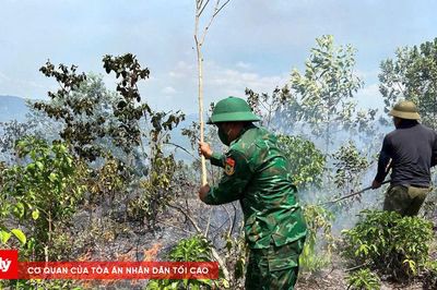 BĐBP TP Huế huy động lực lượng khống chế 3 vụ cháy rừng liên tiếp