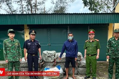 Phát hiện bè chở 800kg nầm lợn đông lạnh không giấy tờ trên sông Bắc Luân