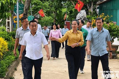 Lãnh đạo tỉnh khảo sát mô hình phát triển dược liệu dưới tán rừng tại xã Con Cuông