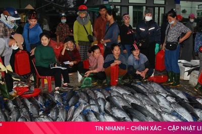 6 tháng, ngư dân Hà Tĩnh thu hơn 1.200 tỷ đồng từ biển