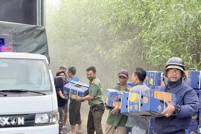 Quảng Trị: 'Giải cứu' 20 tấn sầu riêng trên xe container bị cháy