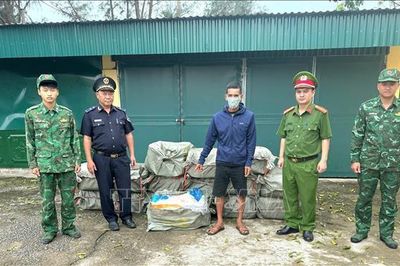 Thu giữ 800 kg nầm lợn đông lạnh không có hóa đơn
