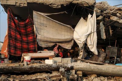 Dịch thủy đậu bùng phát mạnh tại Dải Gaza, trên 9.000 ca mắc trong 2 tuần