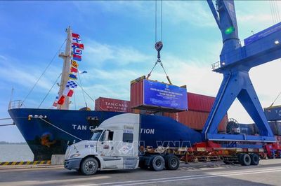 Thủ tục kiểm soát tàu thuyền xuất nhập cảnh, quá cảnh tại Việt Nam