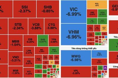 VN-Index mất mốc 1.700 điểm, nhiều nhóm ngành đồng loạt giảm sâu