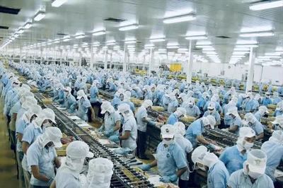 Xuất khẩu thủy sản: Mục tiêu 12 tỷ USD phụ thuộc nhiều biến số