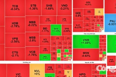 Chứng khoán phiên sáng 22/7: VN-Index chờ lực cầu tại vùng hỗ trợ