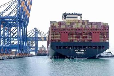 Quy định mới về hàng hóa cấm xuất khẩu, nhập khẩu