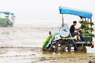 Máy cấy mạ khay tăng hiệu quả sản xuất