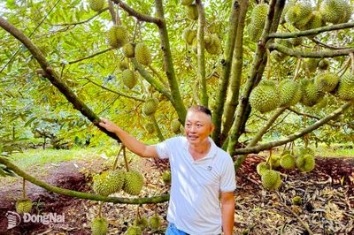 Chú trọng xây dựng mô hình kinh tế tập thể