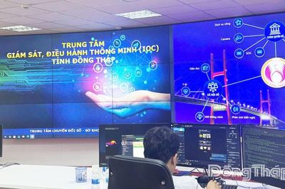 Đồng Tháp yêu cầu '100 ngày hành động' tháo gỡ điểm nghẽn chuyển đổi số