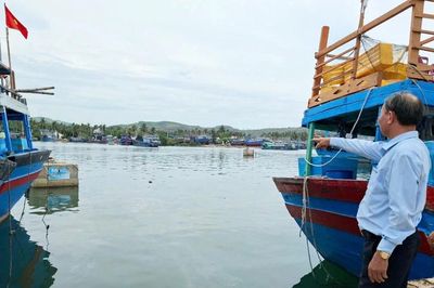 Khẩn trương khắc phục các hạng mục xuống cấp tại khu neo đậu tránh trú bão Cảng cá Tam Quan