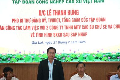 Lãnh đạo VRG làm việc với Công ty Cao su Chư Sê và Chư Prông