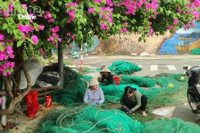 Nhịp sống nơi làng chài Cửa Bé