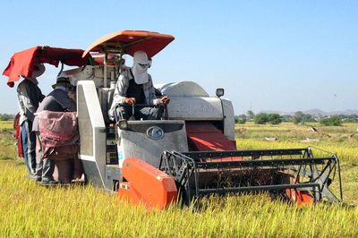 Sức sống mới vùng đồng bào xã Hàm Thuận Bắc