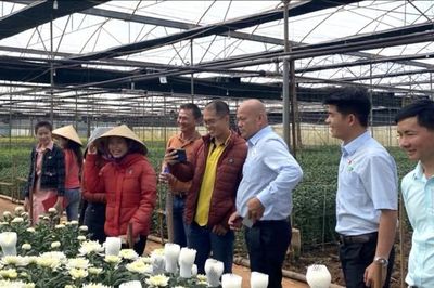 Thu hút đầu tư để nông sản vươn tầm