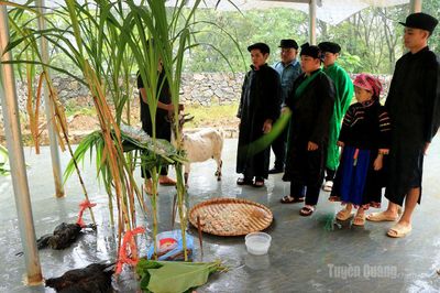 Độc đáo lễ cúng thần rừng của đồng bào Pu Péo ở Cháng Lộ