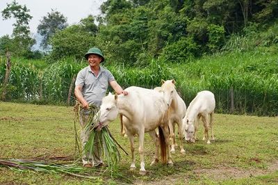 Hướng đi giảm nghèo bền vững