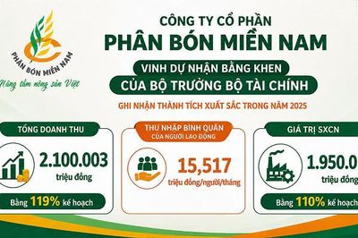 Công ty CP Phân bón Miền Nam và Tổng Giám đốc Đỗ Văn Tuấn nhận Bằng khen của Bộ trưởng Bộ Tài chính