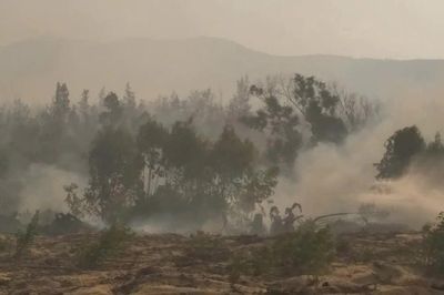 Gia Lai: 30ha rừng phòng hộ bị thiêu rụi, 500 người nỗ lực ngăn lửa lan rộng