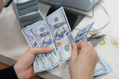 Kiều hối về TP.HCM ghi nhận tín hiệu phục hồi trong quý II/2026