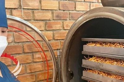 Từ bảo hộ đến thương hiệu: Cách Quảng Ngãi nâng tầm nông sản