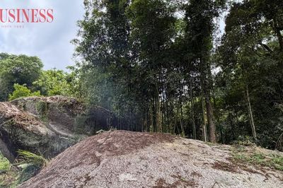 Lần đầu tiên quy định mức chi trả dịch vụ hấp thụ và lưu giữ carbon của rừng