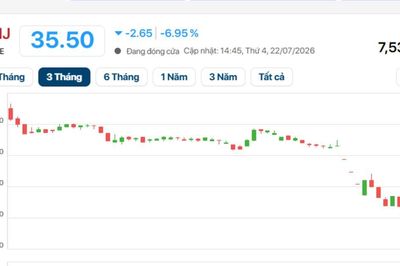 Cổ phiếu họ Vin giảm sàn, thị trường chứng khoán trải qua phiên bán tháo lịch sử