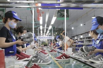 Hà Nội tinh gọn DNNN: Mục tiêu hình thành những 'sếu đầu đàn'