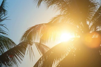 Tuần cuối tháng 7: Thời tiết ôn hòa, mưa, nắng đều giảm