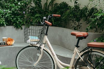 Xe đạp và những vòng quay bình yên