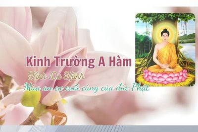 Mùa an cư cuối cùng của đức Phật