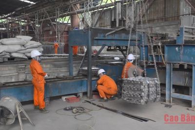 Có 41 doanh nghiệp đầu tư vào các dự án trong Khu kinh tế tỉnh