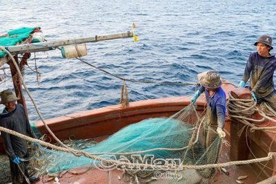 Chủ động bảo đảm an toàn cho lao động trên biển