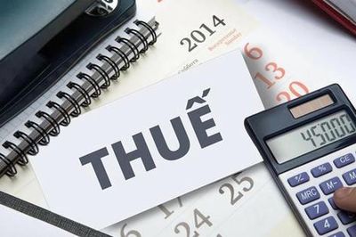 Doanh nghiệp chậm cung cấp thông tin phục vụ trao đổi thuế có thể bị phạt đến 100 triệu đồng