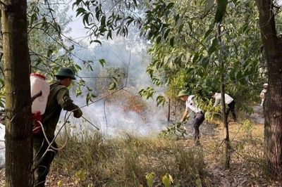 Huế: Xã Chân Mây - Lăng Cô chủ động phòng, chống cháy rừng và bảo vệ tài nguyên rừng