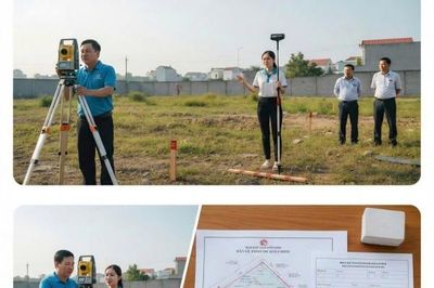 Lâm Đồng yêu cầu hoàn thành đối soát dữ liệu đất đai trước ngày 25/7