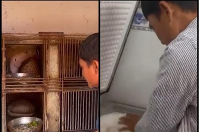Tăng cường kiểm tra hoạt động mua bán động vật hoang dã trên mạng