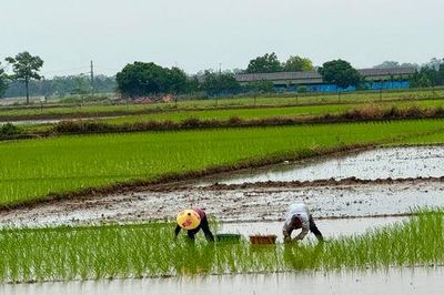 Ứng Thiên đặt mục tiêu năm 2029 đạt chuẩn nông thôn mới