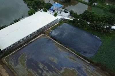 Vụ trang trại chăn nuôi rò rỉ nước thải ở Ninh Bình: Phó Chủ tịch UBND tỉnh chỉ đạo kiểm tra