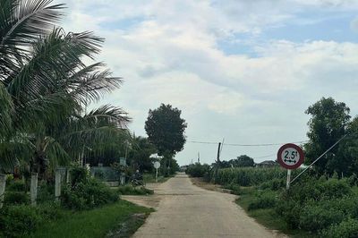 Gia Lai: Hỗ trợ hơn 76.500 tấn xi măng làm đường nông thôn