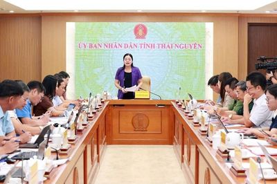 Thái Nguyên chuẩn bị Festival Trà Quốc tế gắn với văn hóa và du lịch
