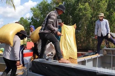 Cà Mau chuyển hồ sơ sang cơ quan điều tra vụ công ty nợ tiền mua lúa