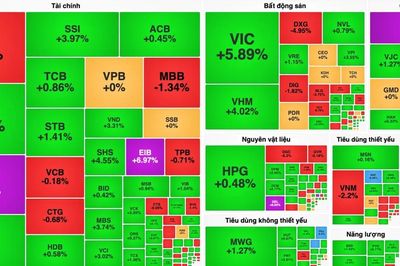 VN-Index tăng gần 31 điểm, PNJ vẫn giảm sàn