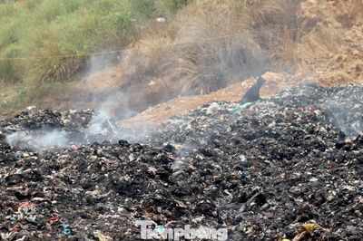 Ngày đêm dập lửa ở đám cháy bãi rác lớn nhất Nghệ An