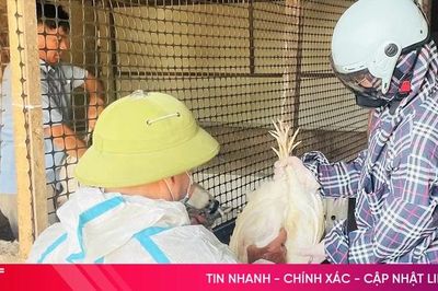 Ngành chuyên môn Hà Tĩnh khuyến cáo tăng cường phòng, chống dịch cúm gia cầm