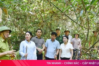 Huy động các nguồn lực để bảo vệ rừng tại gốc, không để xảy ra cháy rừng