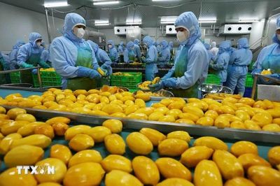Mỹ thúc đẩy xuất khẩu nông sản sang Việt Nam