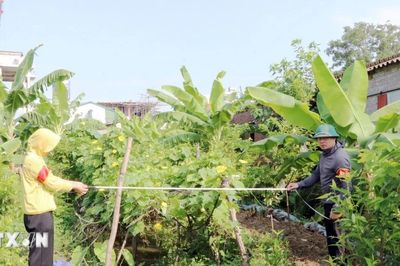 Hải Phòng thu hồi hơn 5.000m2 đất phục vụ dự án xây dựng điểm dân cư mới